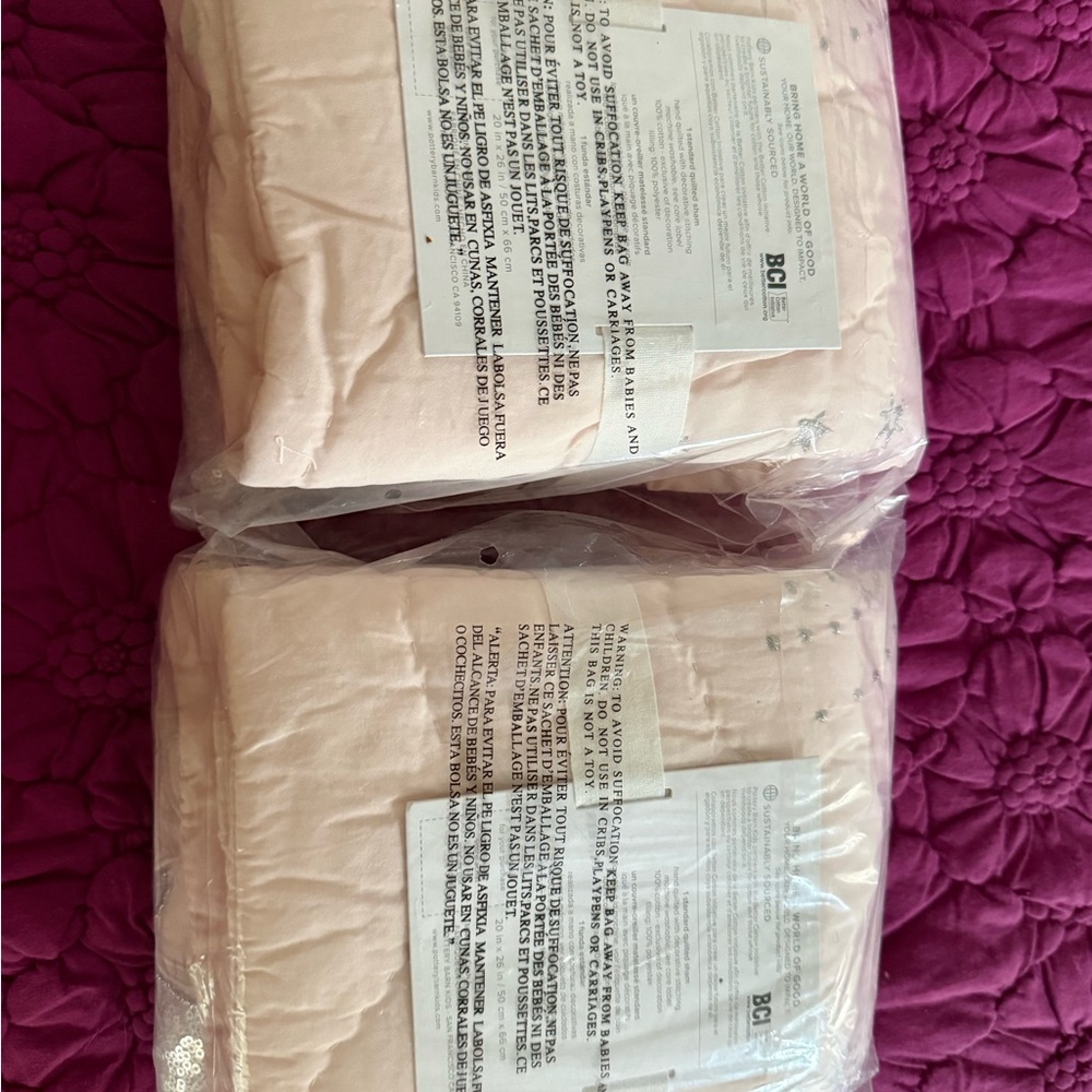Pottery Barn Kids Celeste Fairy Quilted Sham - Light Pink with Silver - Picture 2 of 3